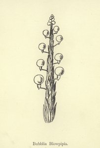 Bubblia Blowpipia by Edward Lear